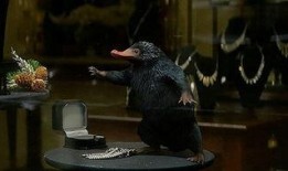 12月神奇动物爆料视频,神秘生物齐聚，奇幻世界再掀波澜